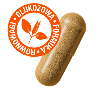 Check ikonka